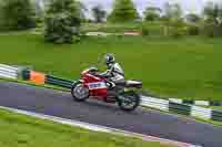 cadwell-no-limits-trackday;cadwell-park;cadwell-park-photographs;cadwell-trackday-photographs;enduro-digital-images;event-digital-images;eventdigitalimages;no-limits-trackdays;peter-wileman-photography;racing-digital-images;trackday-digital-images;trackday-photos